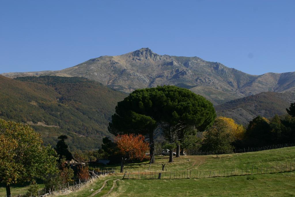 El Canchal De La Gallina - Parking Gratis - Jacuzzi En Privado - Cafeteria - Desayunos - Piscina De Agua Caliente A Partir Del 12 De Abril 2025 Hervás Exteriör bild